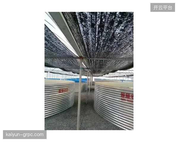 广州天河区“智慧跑道”项目验证了体育数据资产化的首个商业闭环